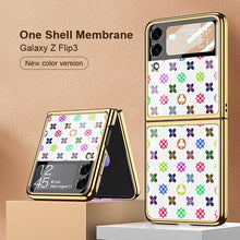 Load image into Gallery viewer, Galaxy Z Flip3 Luxury Motif Mono Painting Printed Glass Case
