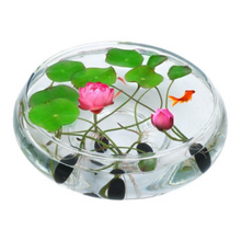 Load image into Gallery viewer, Natural Lotus Bonsai Seeds Grow in Any Season Mix Color (With instruction how to plant)
