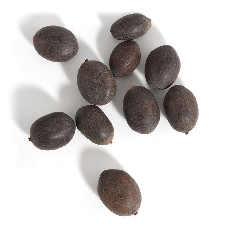 Natural Lotus Bonsai Seeds Grow in Any Season Mix Color (With instruction how to plant)